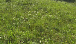 草草草视频,揭秘短视频背后的创作魅力