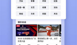 平果视频,揭秘短视频时代的魅力与挑战